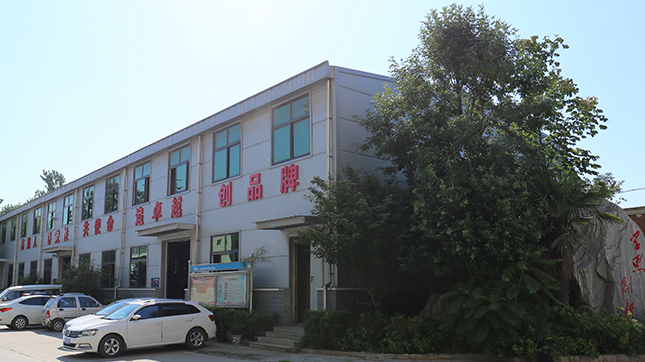 91蝌蚪视频在线观看實驗中心
