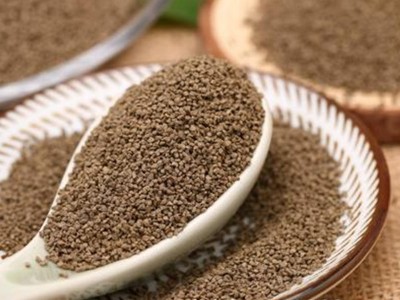 飼料小蝌蚪污视频方案